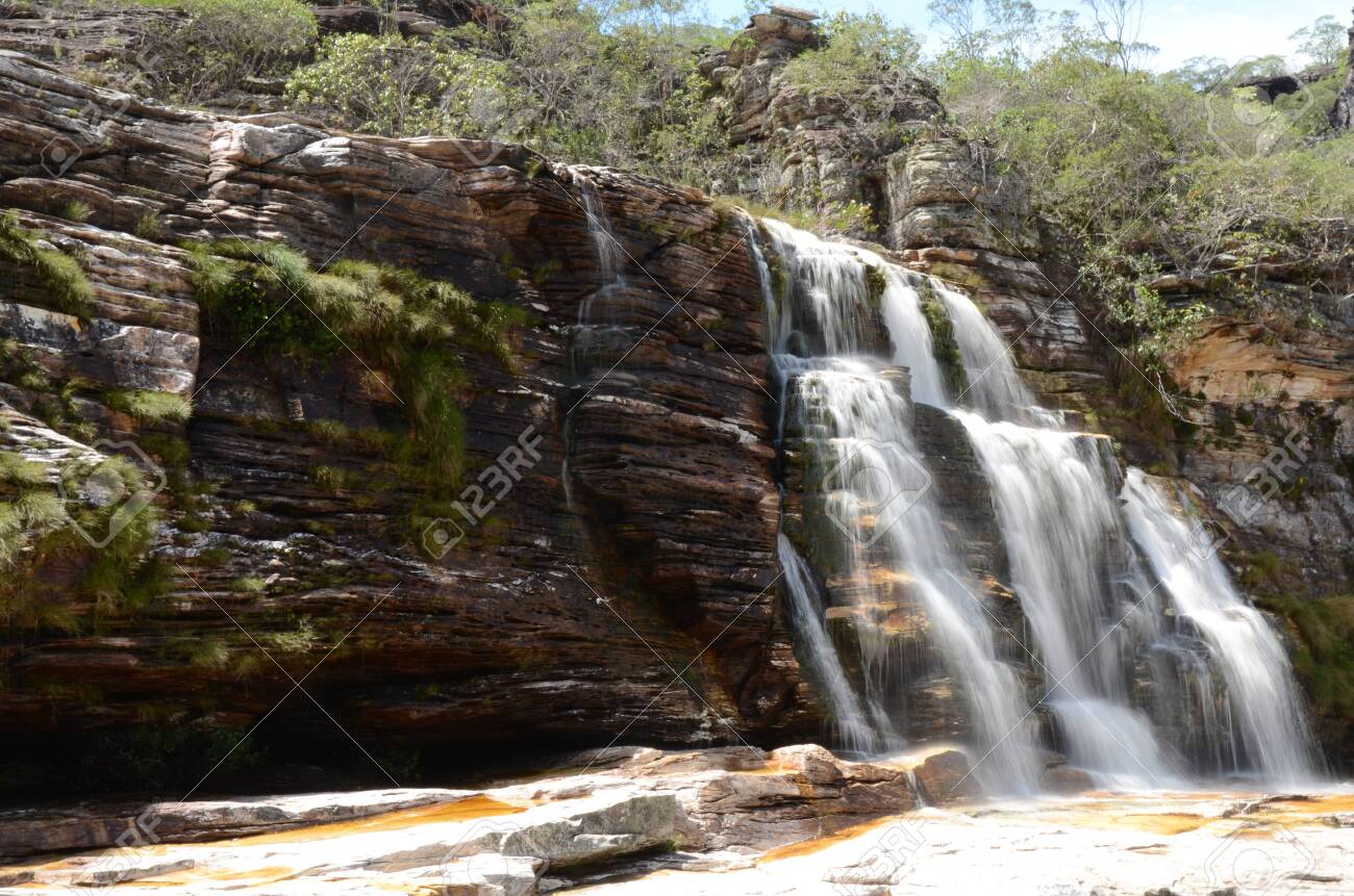 Waterfall in Rio Preto State Park in Minas Gerais at Cachoeira da Semper-Viva (translate to Always-Alive Waterfall, with is the popular name of Actinocephalus polyanthus) - 151844978 Waterfall in Rio Preto State Park in Minas Gerais at Cachoeira da Semper-Viva (translate to Always-Alive Waterfall, with is the popular name of Actinocephalus polyanthus) - 151844978