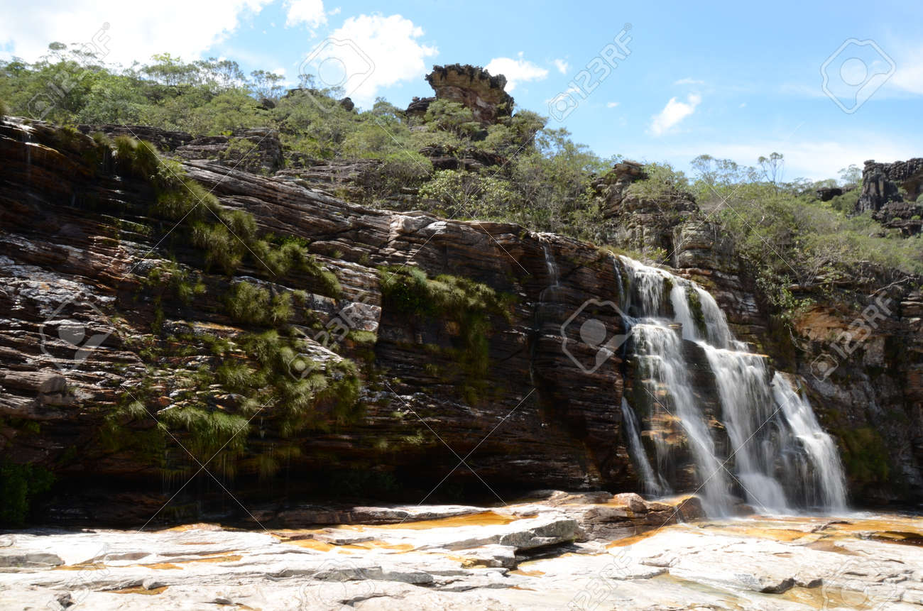 Waterfall in Rio Preto State Park in Minas Gerais at Cachoeira da Semper-Viva (translate to Always-Alive Waterfall, with is the popular name of Actinocephalus polyanthus) - 151845022 Waterfall in Rio Preto State Park in Minas Gerais at Cachoeira da Semper-Viva (translate to Always-Alive Waterfall, with is the popular name of Actinocephalus polyanthus) - 151845022