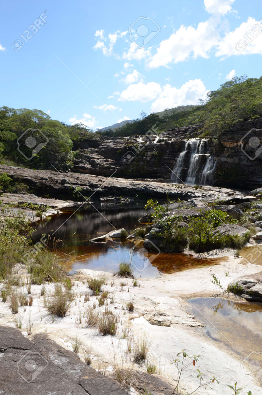 Waterfall in Rio Preto State Park in Minas Gerais at Cachoeira da Semper-Viva (translate to Always-Alive Waterfall, with is the popular name of Actinocephalus polyanthus) - 151845043 Waterfall in Rio Preto State Park in Minas Gerais at Cachoeira da Semper-Viva (translate to Always-Alive Waterfall, with is the popular name of Actinocephalus polyanthus) - 151845043
