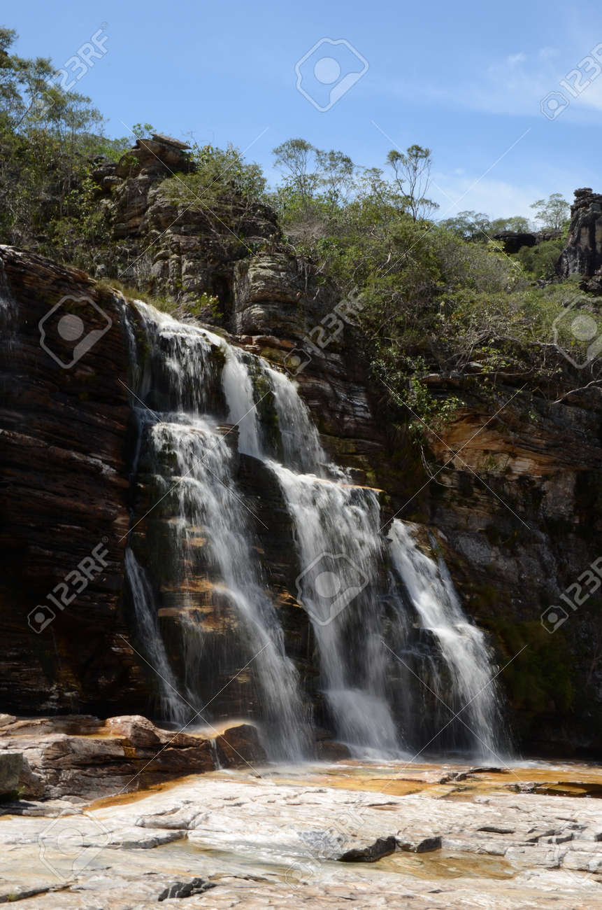 Waterfall in Rio Preto State Park in Minas Gerais at Cachoeira da Semper-Viva (translate to Always-Alive Waterfall, with is the popular name of Actinocephalus polyanthus) - 151845052 Waterfall in Rio Preto State Park in Minas Gerais at Cachoeira da Semper-Viva (translate to Always-Alive Waterfall, with is the popular name of Actinocephalus polyanthus) - 151845052