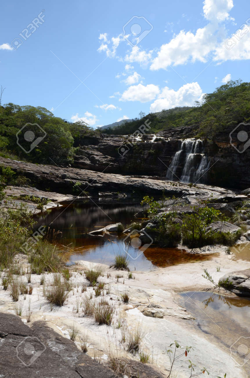 Waterfall in Rio Preto State Park in Minas Gerais at Cachoeira da Semper-Viva (translate to Always-Alive Waterfall, with is the popular name of Actinocephalus polyanthus) - 151845293 Waterfall in Rio Preto State Park in Minas Gerais at Cachoeira da Semper-Viva (translate to Always-Alive Waterfall, with is the popular name of Actinocephalus polyanthus) - 151845293