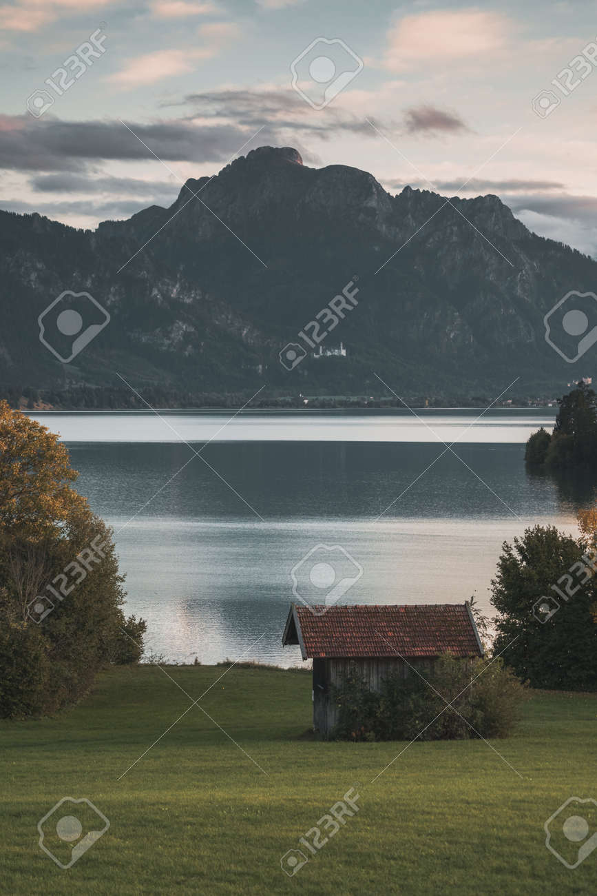 etiam-dictum-ipsum-a-felis