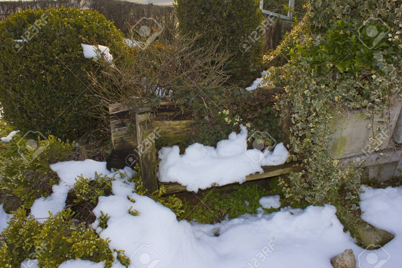 溶ける雪の庭 の写真素材 画像素材 Image 溶ける雪の庭 の写真素材 画像素材 Image