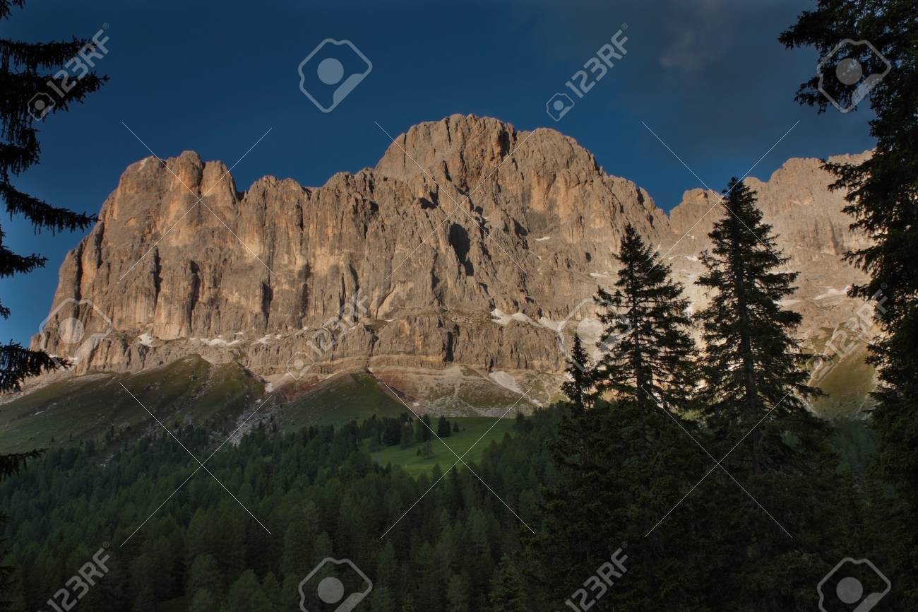 etiam-dictum-ipsum-a-felis