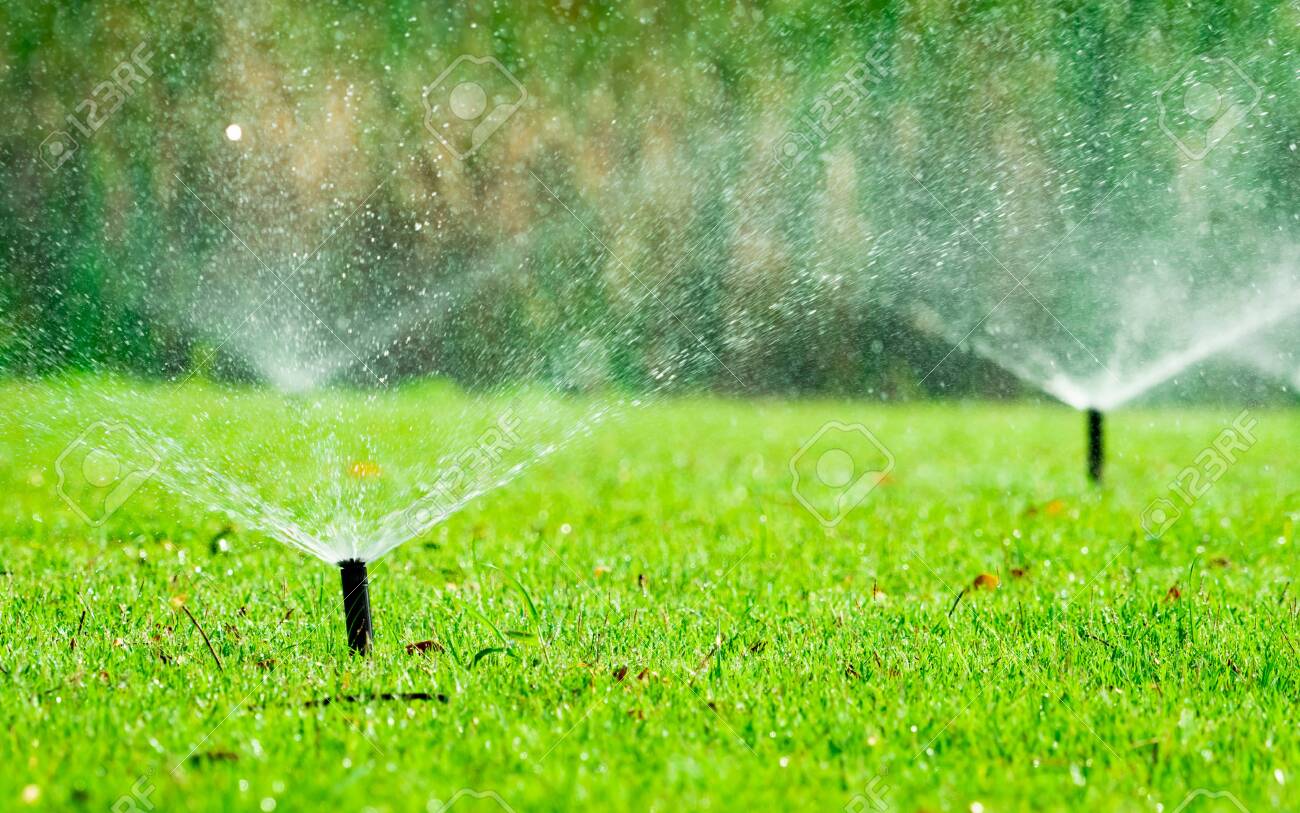Automatic Lawn Sprinkler Watering Green 