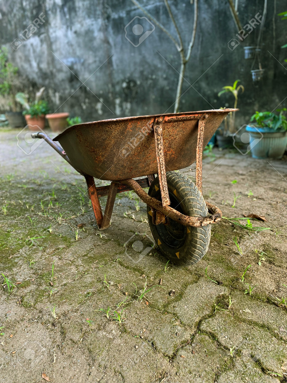 etiam-dictum-ipsum-a-felis