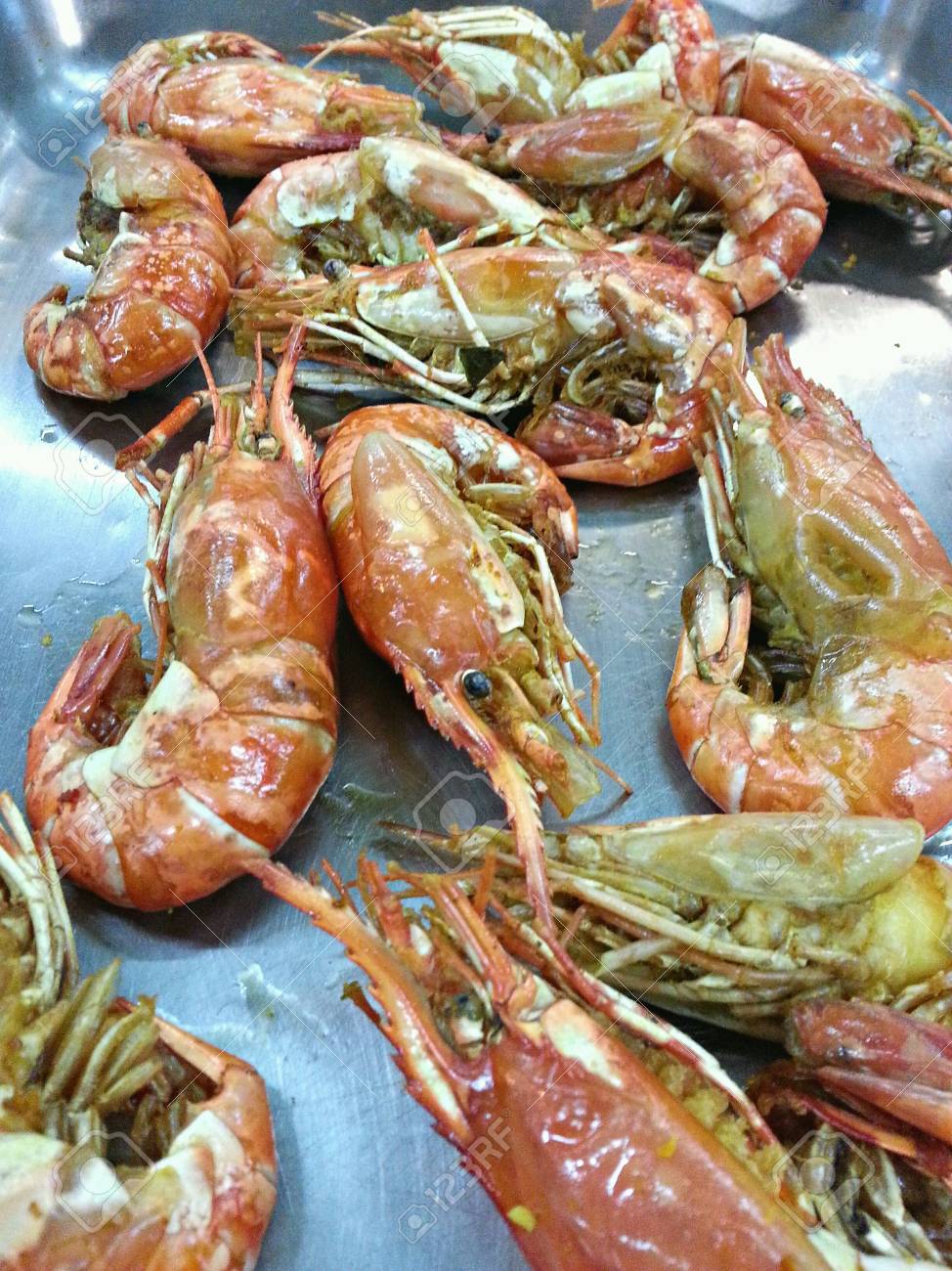 人気ダウンロード 海老淡水 壁紙美的日本