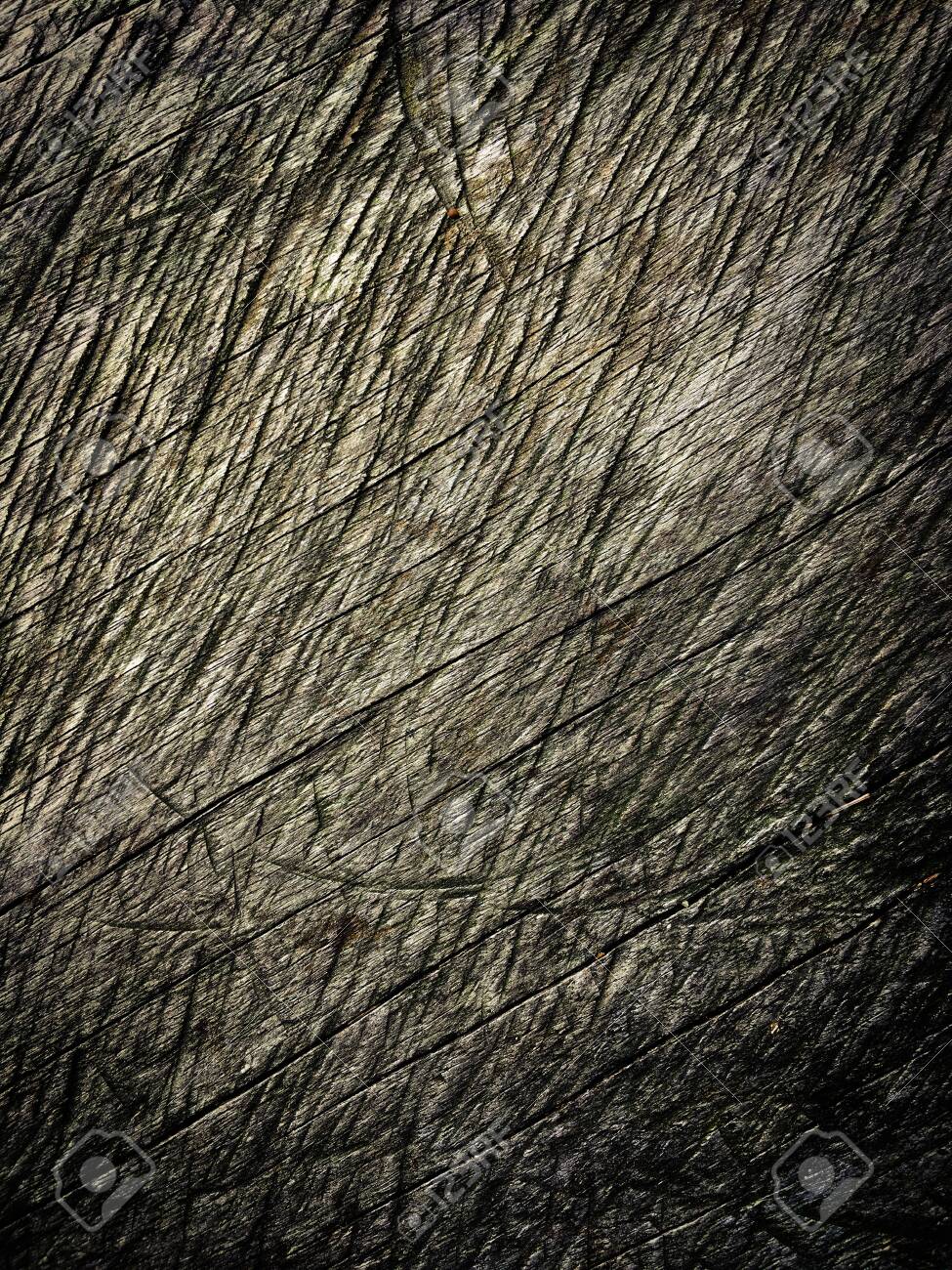 etiam-dictum-ipsum-a-felis