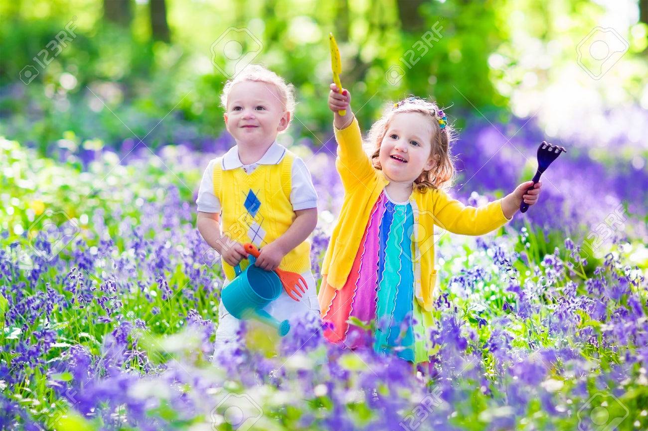 子供の園芸します 屋外で遊ぶ子供たち女の子と男の子 弟と妹 庭仕事 花の植栽 花壇に水をまきます 夏に家族で楽しむ の写真素材 画像素材 Image