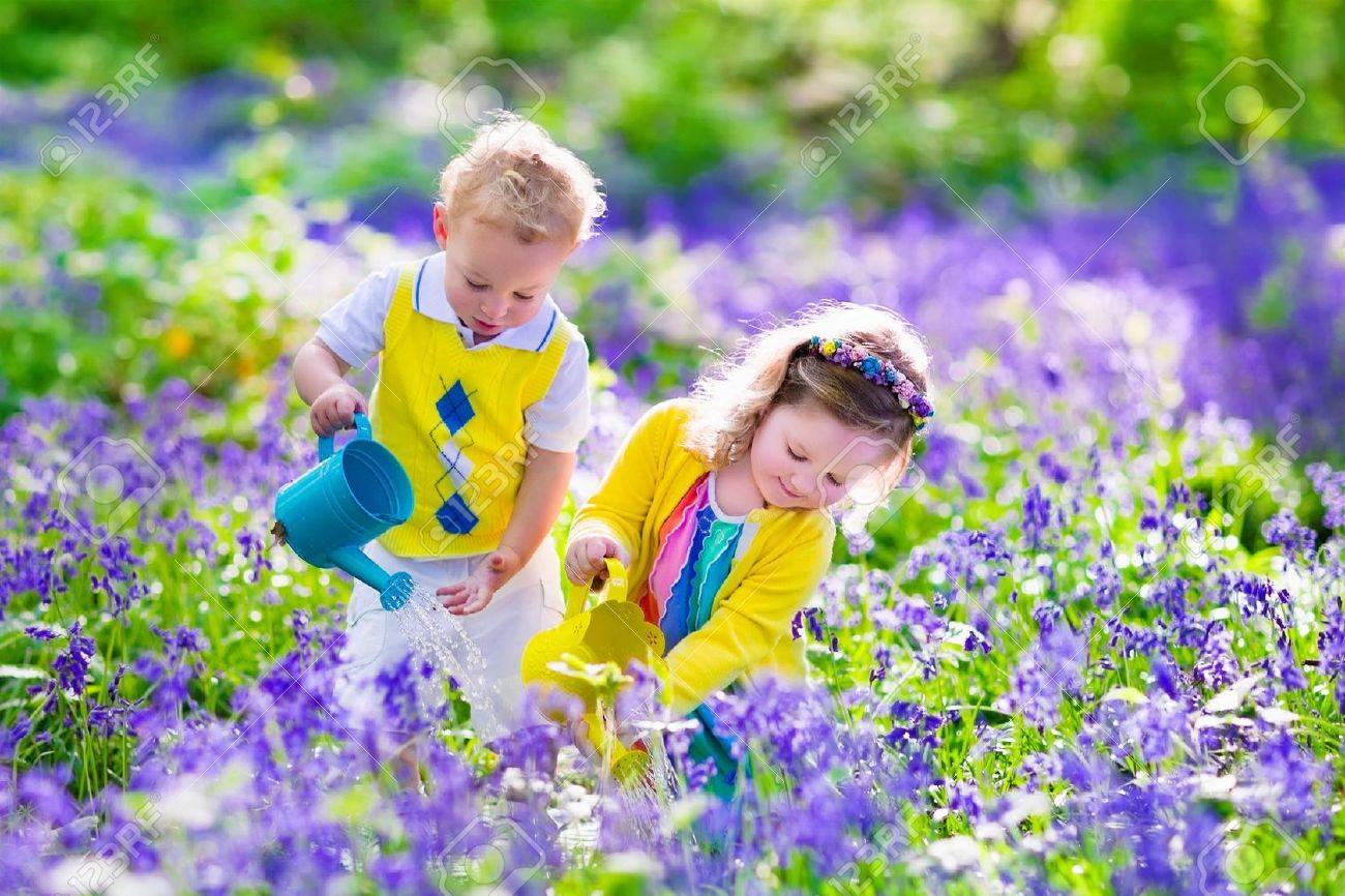 子供の園芸します 屋外で遊ぶ子供たち女の子と男の子 弟と妹 庭仕事 花の植栽 花壇に水をまきます 夏に家族で楽しむ の写真素材 画像素材 Image