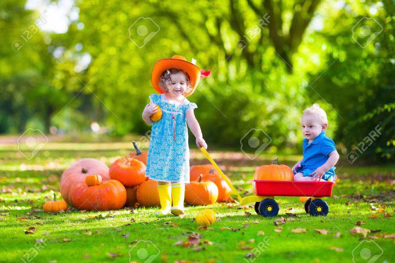 perfect bambini che giocano al campo di zucche ad halloween i bambini giocano e raccogliere zucche with immagini bambini che giocano