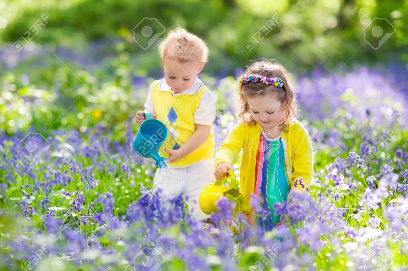 子供の園芸します 屋外で遊ぶ子供たち女の子と男の子 弟と妹 庭仕事 花の植栽 花壇に水をまきます 夏に家族で楽しむ の写真素材 画像素材 Image