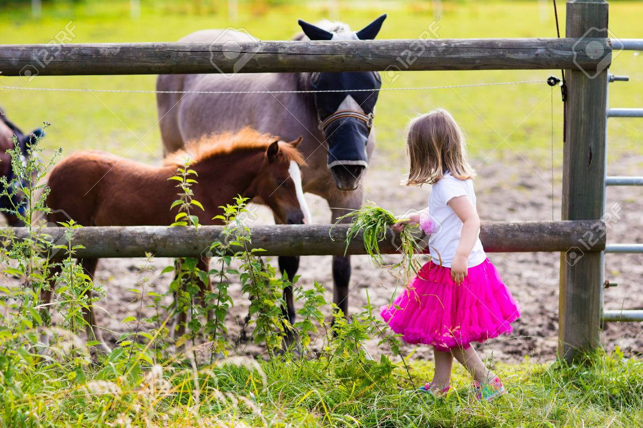 国の日当たりの良い夏の日の母と赤ん坊の馬と遊ぶ少女 子供の餌馬と子馬のペット 田舎の牧場動物ペットの世話の子供 子供と動物の友情 の写真素材 画像素材 Image 国の日当たりの良い夏の日の母と赤ん坊の馬と遊ぶ少女 子供の餌馬と子馬のペット 田舎の牧場動物ペットの世話の子供 子供と動物の友情 の写真素材 画像素材 Image