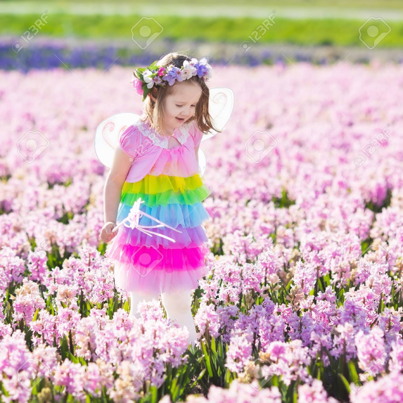 Belle Fille Jouant Dans La Floraison Champ Jacinthe Fleur Princesse Kids Fête Danniversaire Avec Costume De Fée Des Ailes De Papillon Et De