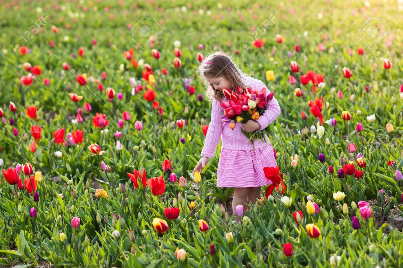Enfant Dans Le Champ De Fleur De Tulipe Petite Fille Coupe Tulipes Fraiches Dans Le Jardin Ensoleille D Ete Kid Avec Bouquet De Fleurs Pour Le Jour De Mere Ou Cadeau D Anniversaire Enfant