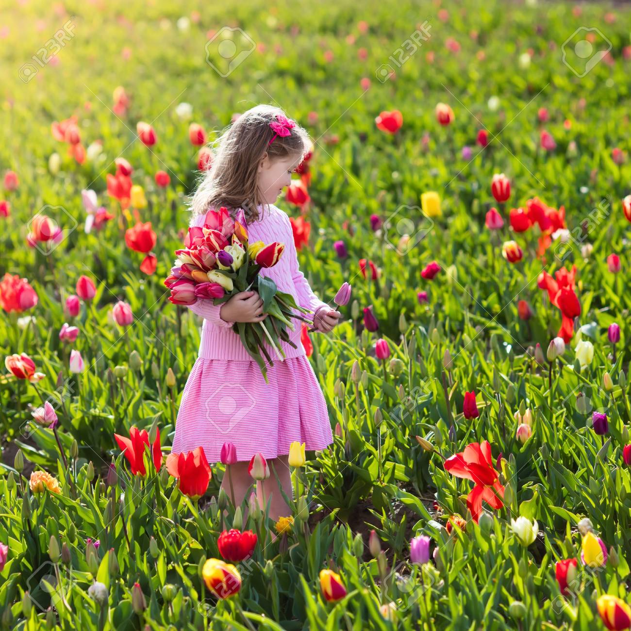 Enfant Dans Le Champ De Fleur De Tulipe Petite Fille Coupe Tulipes Fraiches Dans Le Jardin Ensoleille D Ete Kid Avec Bouquet De Fleurs Pour Le Jour De Mere Ou Cadeau D Anniversaire Enfant