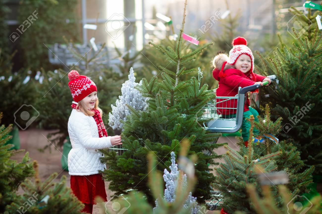 How to Choose Green Gifts for Christmas images How to Choose Green Gifts for Christmas images