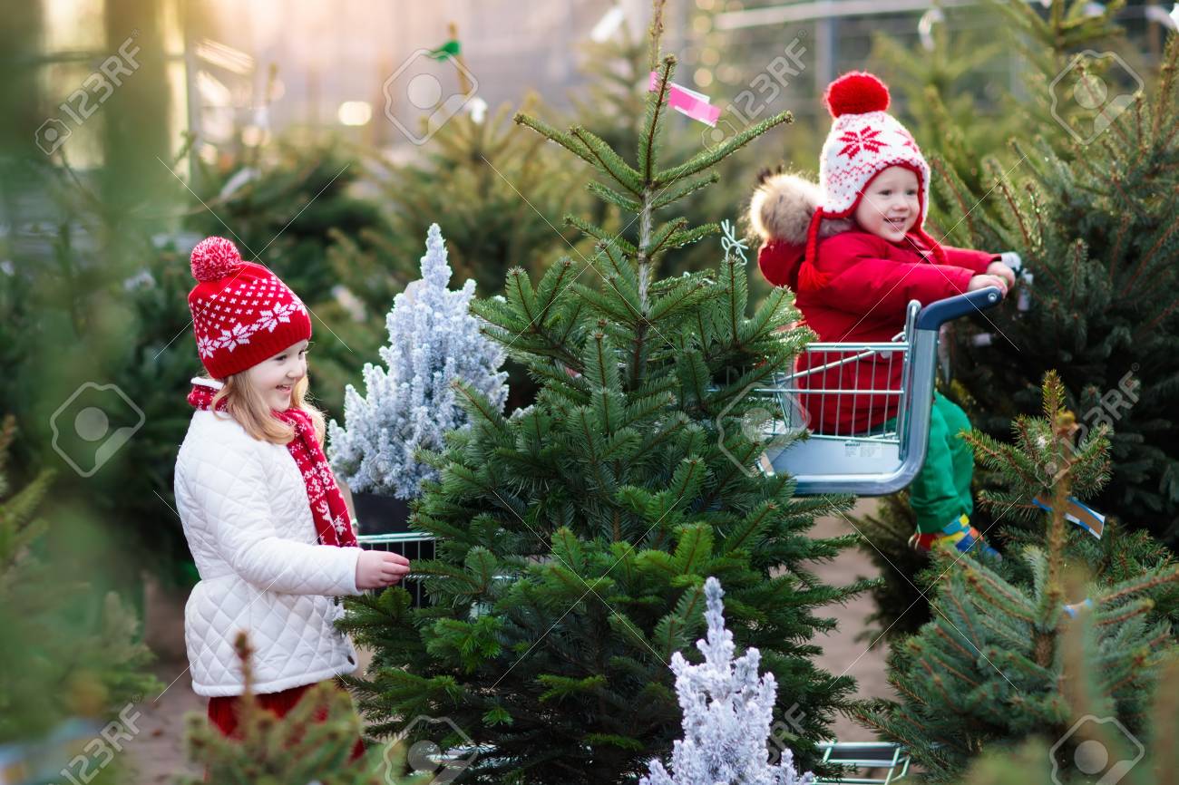 Discussion on this topic: How to Choose Green Gifts for Christmas, how-to-choose-green-gifts-for-christmas/ Forum on this topic: How to Choose Green Gifts for Christmas, how-to-choose-green-gifts-for-christmas/