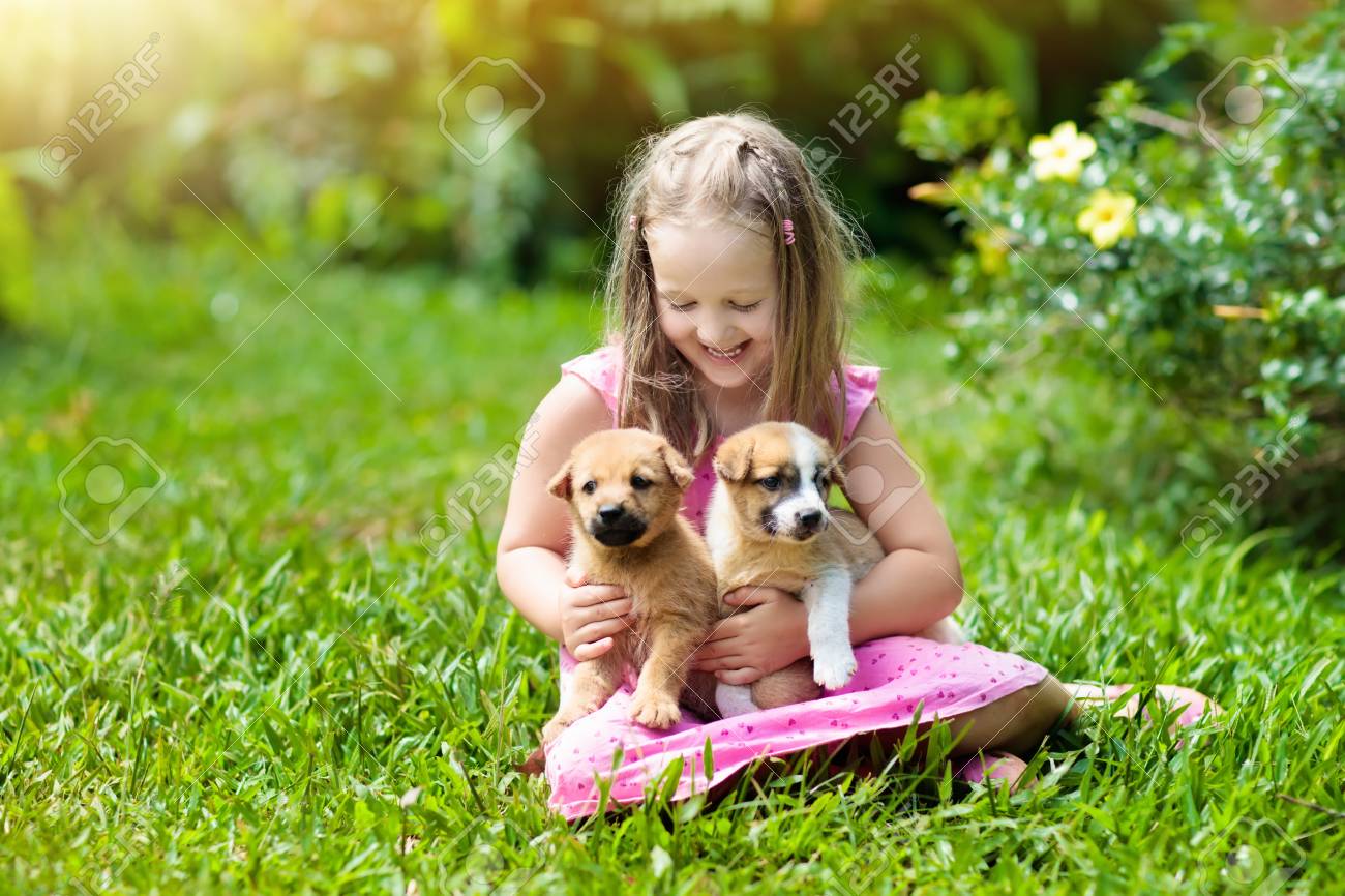 Kids Play With Cute Little Puppy Children And Baby Dogs Playing Stock Photo Picture And Royalty Free Image Image 101054303