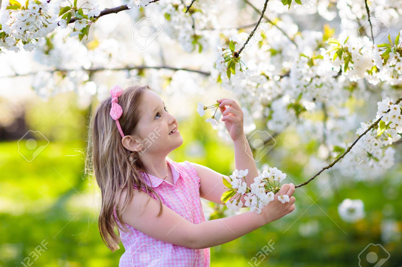 AOFOTO 3x5ft Cherry Blossom Trees Alley Background Spring Pink Flowers Photography Backdrop Fresh Meadow Green Lawn Kid Lovers Girl Artistic Portrait Photo Studio Props Video Drape Wallpaper AOFOTO 3x5ft Cherry Blossom Trees Alley Background Spring Pink Flowers Photography Backdrop Fresh Meadow Green Lawn Kid Lovers Girl Artistic Portrait Photo Studio Props Video Drape Wallpaper