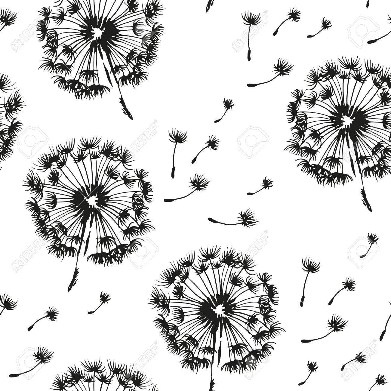 Dandelion and seeds blowing in the wind seamless pattern, vector black and white background - 62842853 Dandelion and seeds blowing in the wind seamless pattern, vector black and white background - 62842853