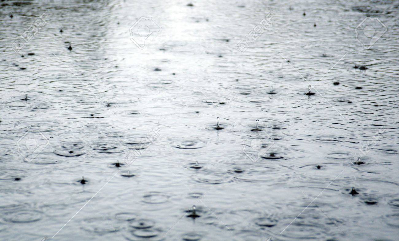 Алексей котлов дождик капает по лужам