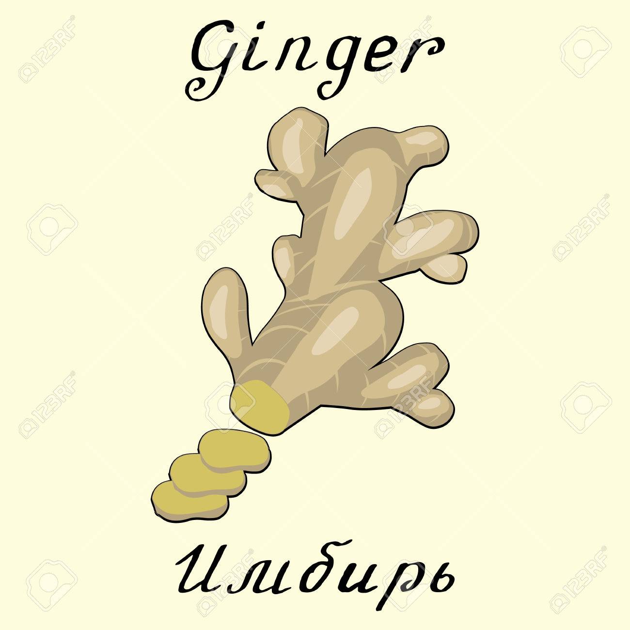 ジンジャー 英語とロシア語のテキスト エコフレンドリー ラベル オンライン ストア 自然派化粧品 バイオ製品 食品 スパイス のイラスト素材 ベクタ Image