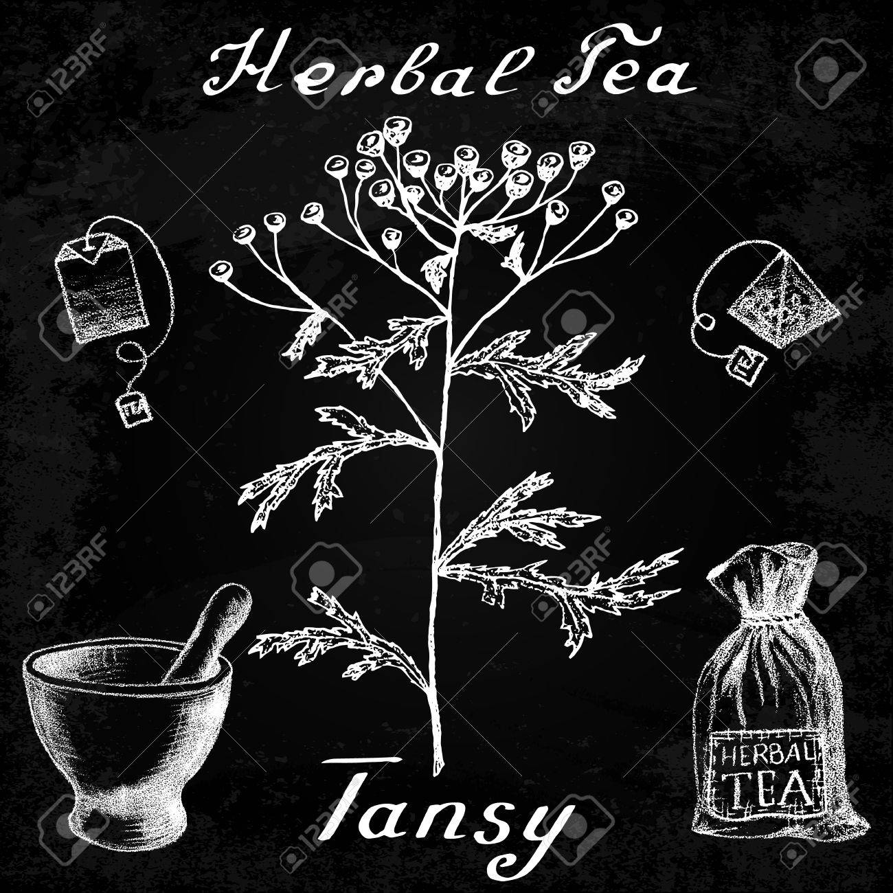 タンジー手描きスケッチ ボタニカル イラスト ベクトル描画します ハーブティーの要素 ティー バッグ バッグ 乳鉢と乳棒 メディカル ハーブ 英語の言語でレタリング 効果チョーク ボードのイラスト素材 ベクタ Image