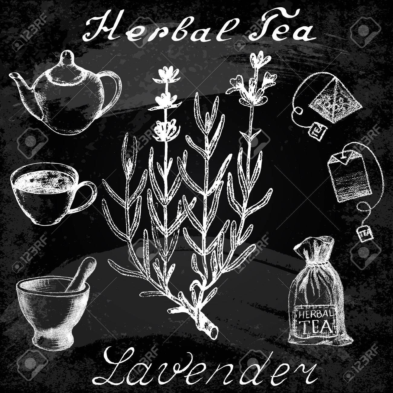 ラベンダー手描きスケッチ ボタニカル イラスト お茶の道具 ベクトル Illustation メディカル ハーブ チョーク ボードの効果 のイラスト素材 ベクタ Image