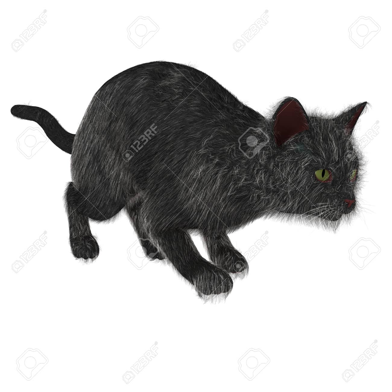 飛びかかることができる猫 の写真素材・画像素材. Image 32574894.