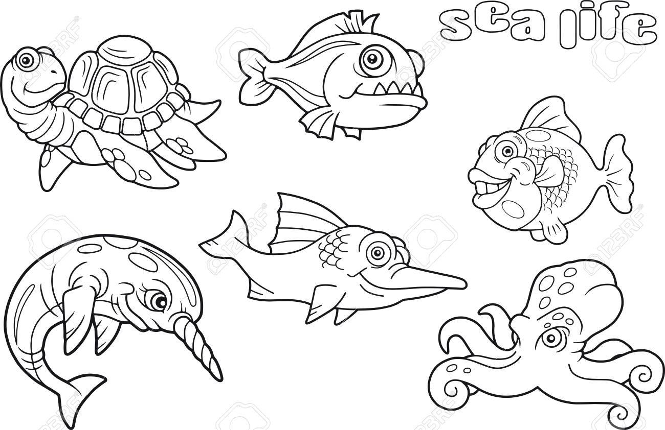 Ensemble D Animaux Aquatiques En Illustration De Style Dessin Anime Clip Art Libres De Droits Vecteurs Et Illustration Image Ensemble D Animaux Aquatiques En Illustration De Style Dessin Anime Clip Art Libres De Droits Vecteurs Et Illustration Image