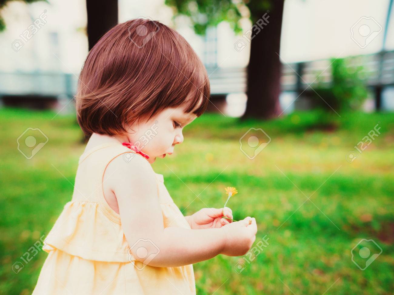 Petit Portrait De Bebe Dans Le Profil Exterieur Enfant Mignon Sur La Nature De Fond Adorable Un An Bebe Avec Une Fleur Dans Les Mains Banque D Images Et Photos Libres De Droits