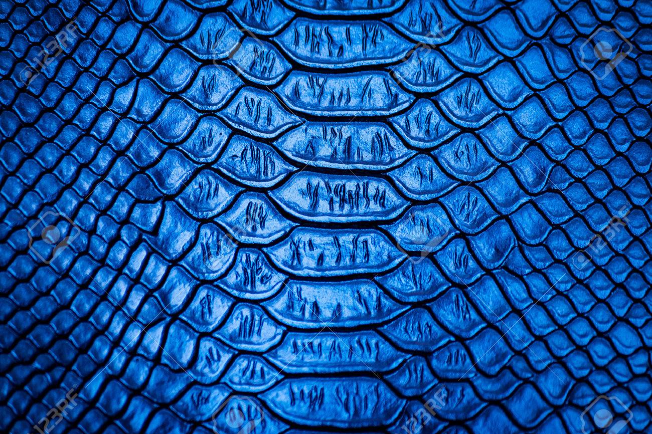 blue snakeskins