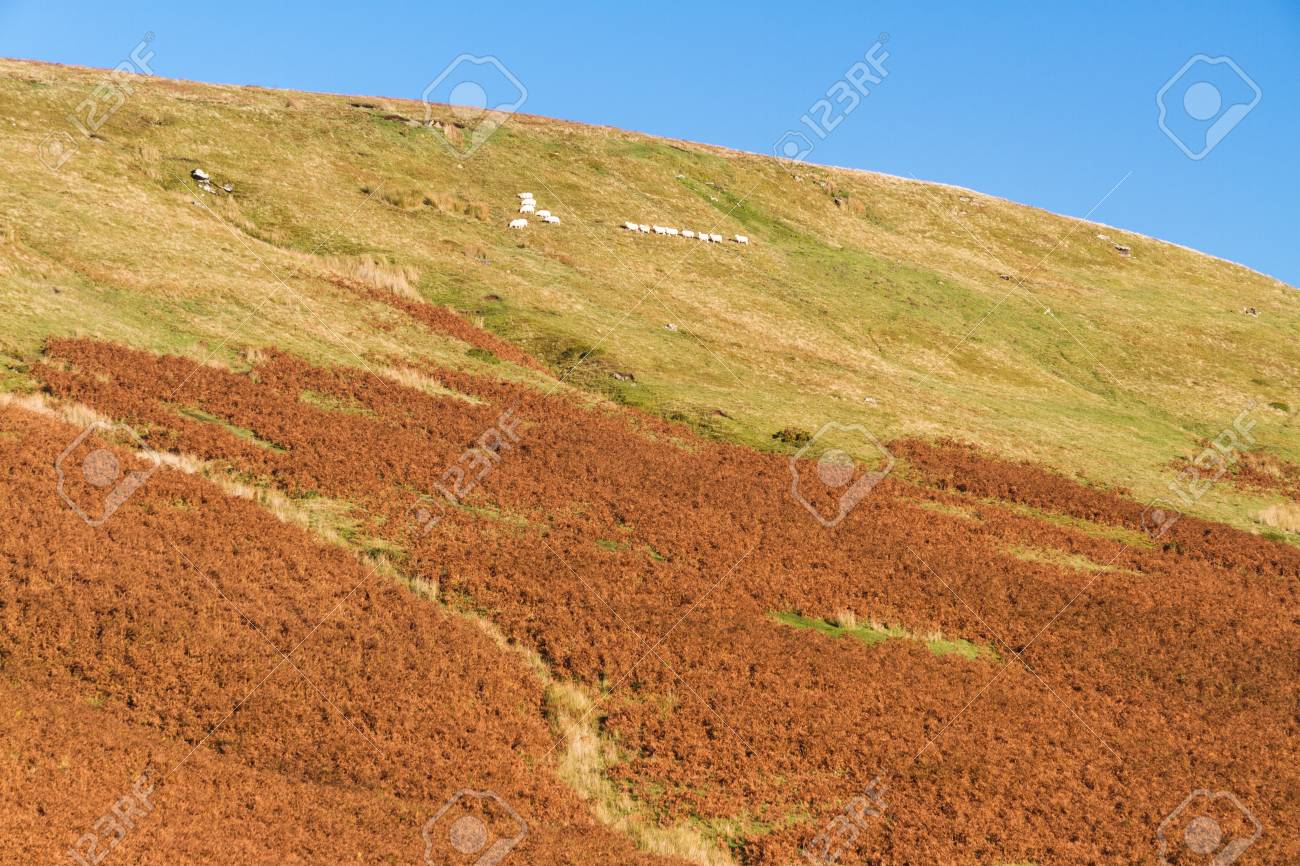 イギリスの丘の上の最後の夜の日光 ヘイ オン ワイ ポウィス ウェールズ イギリス ヨーロッパに近いブラック山の福音を渡します の写真素材 画像素材 Image