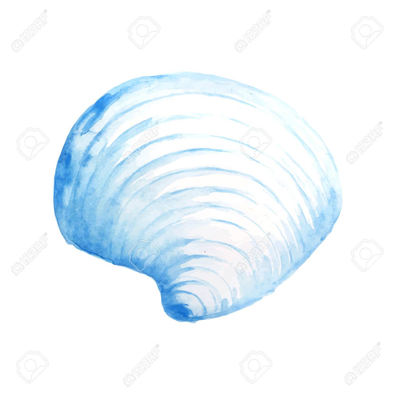 貝殻の水彩イラスト のイラスト素材 ベクタ Image 貝殻の水彩イラスト のイラスト素材 ベクタ Image