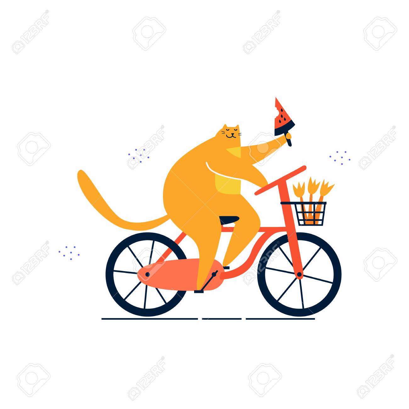 fat cat bicycle