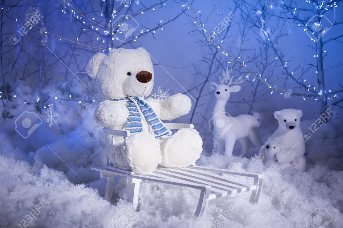 polar teddy