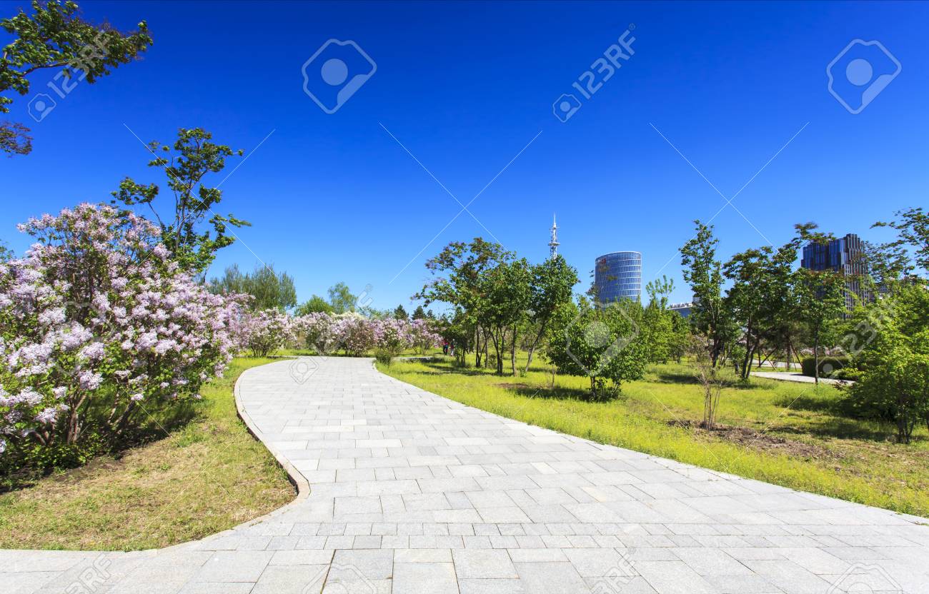 市街地の景色を望むライラックパーク の写真素材 画像素材 Image