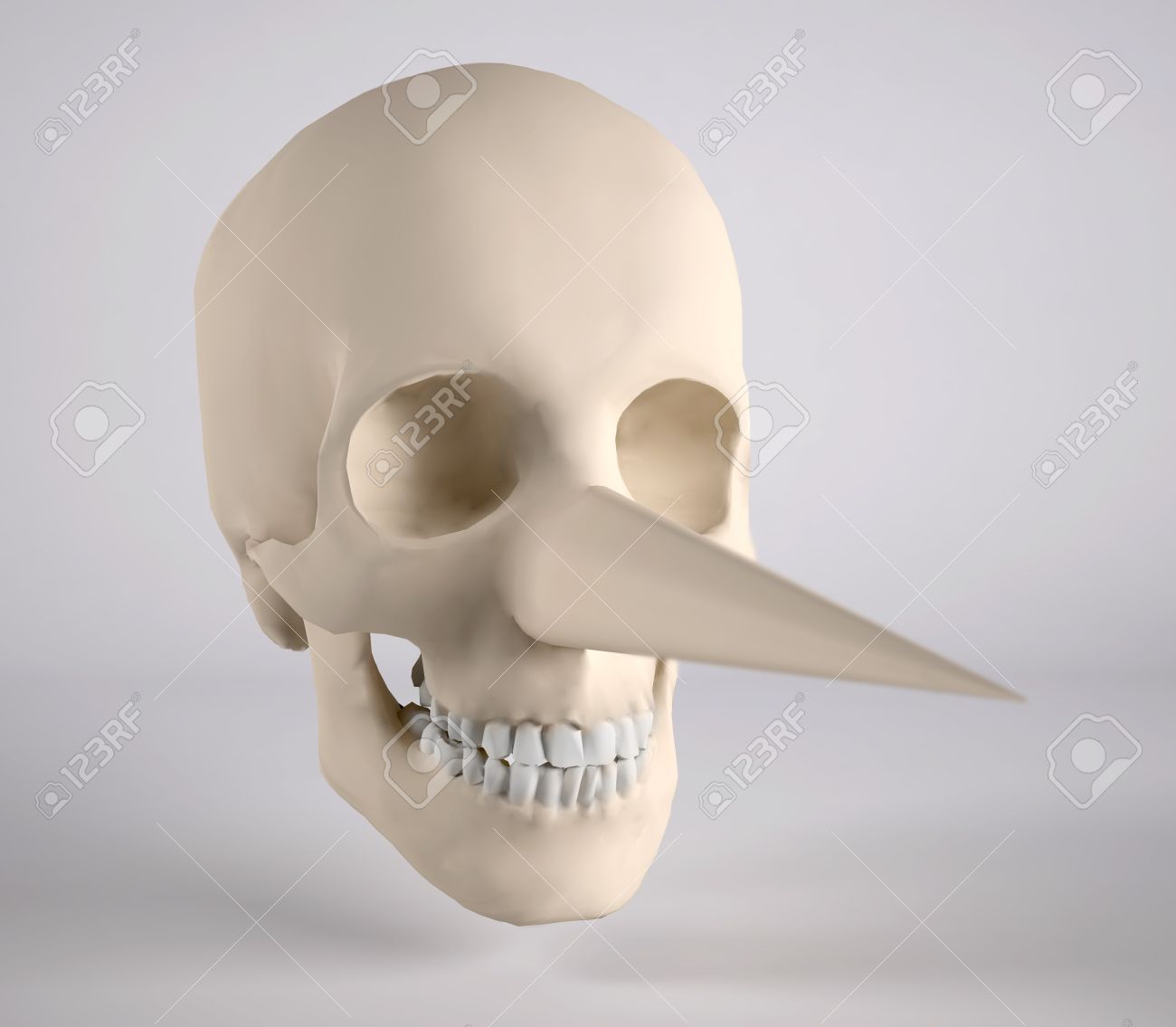 Human Skull With Big Nose 3d Illustration Stock Photo Picture And Royalty Free Image Image 28570746