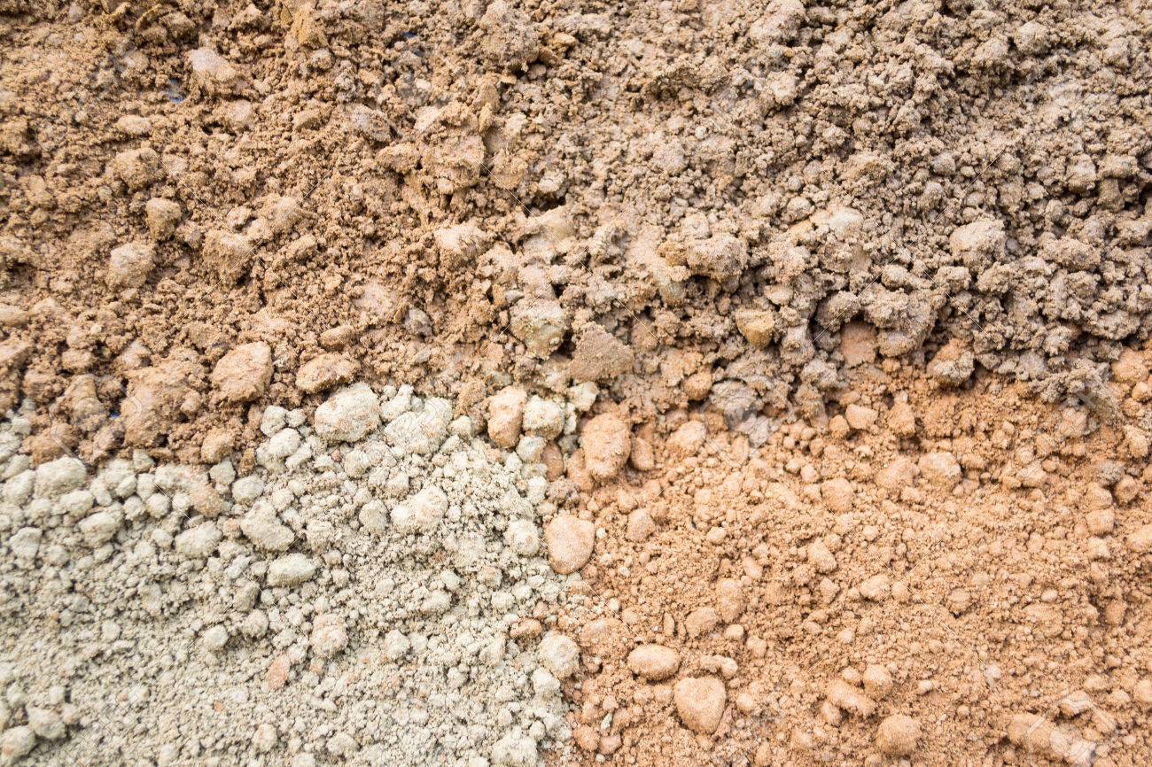 suelo limoso