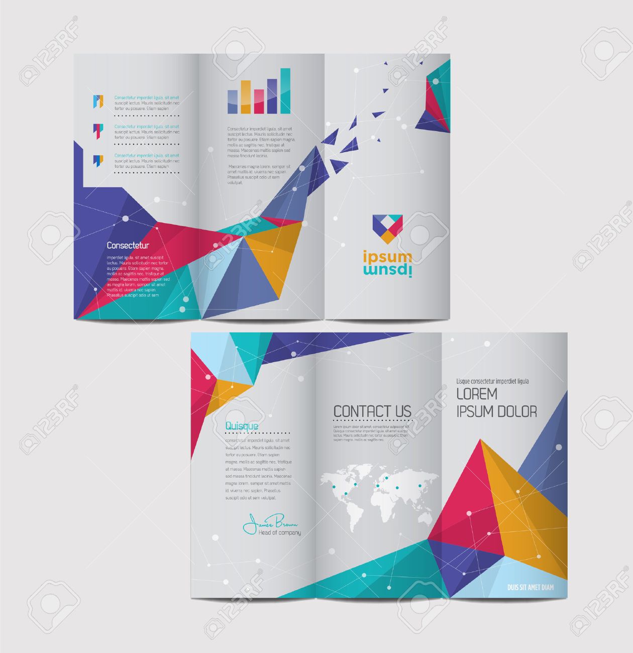 trifold brochures stock photos and images 123rf trifold pamphlet