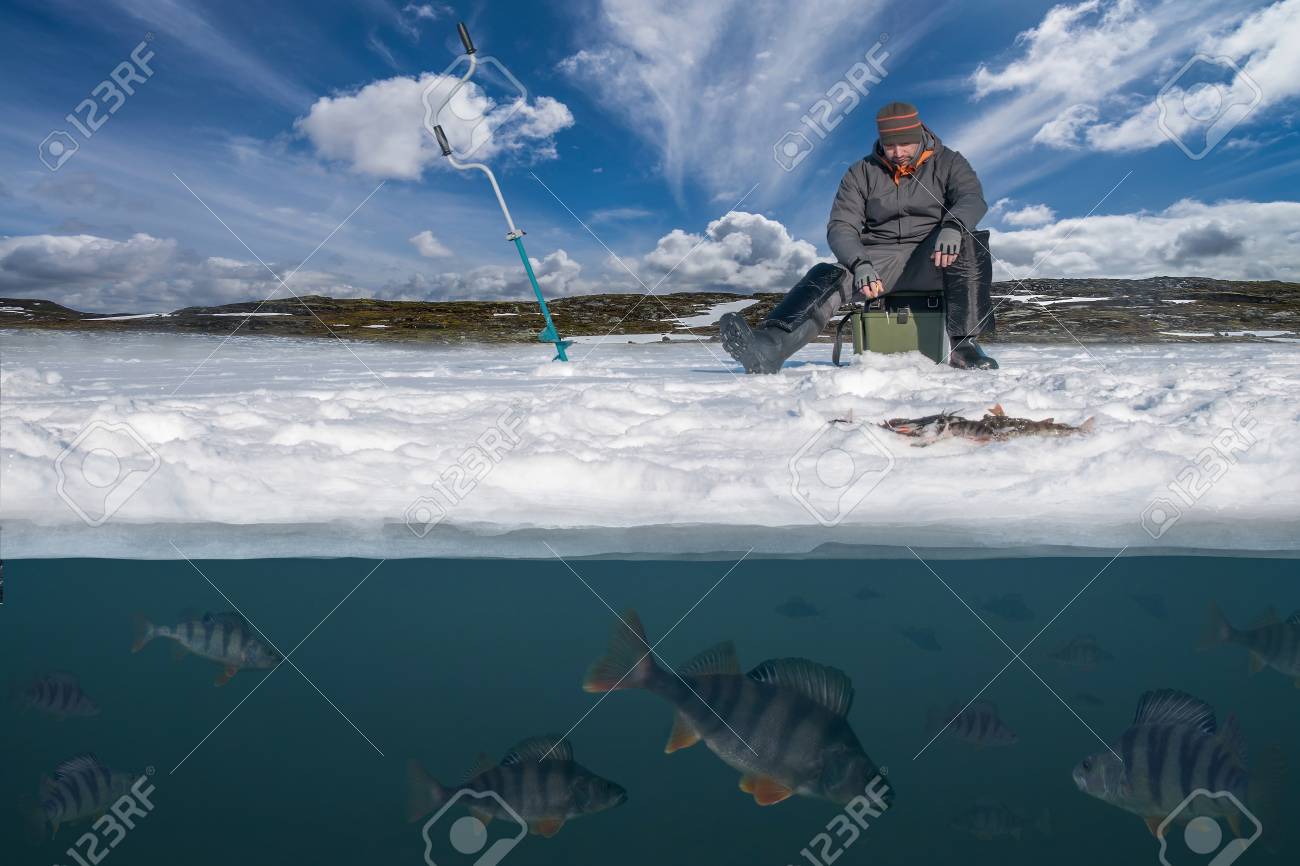 snowys bait and tackle