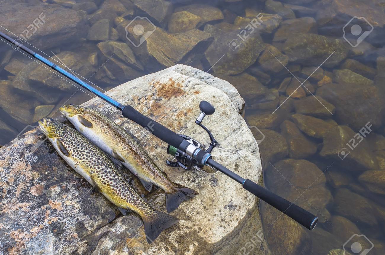 trout fishing tackle