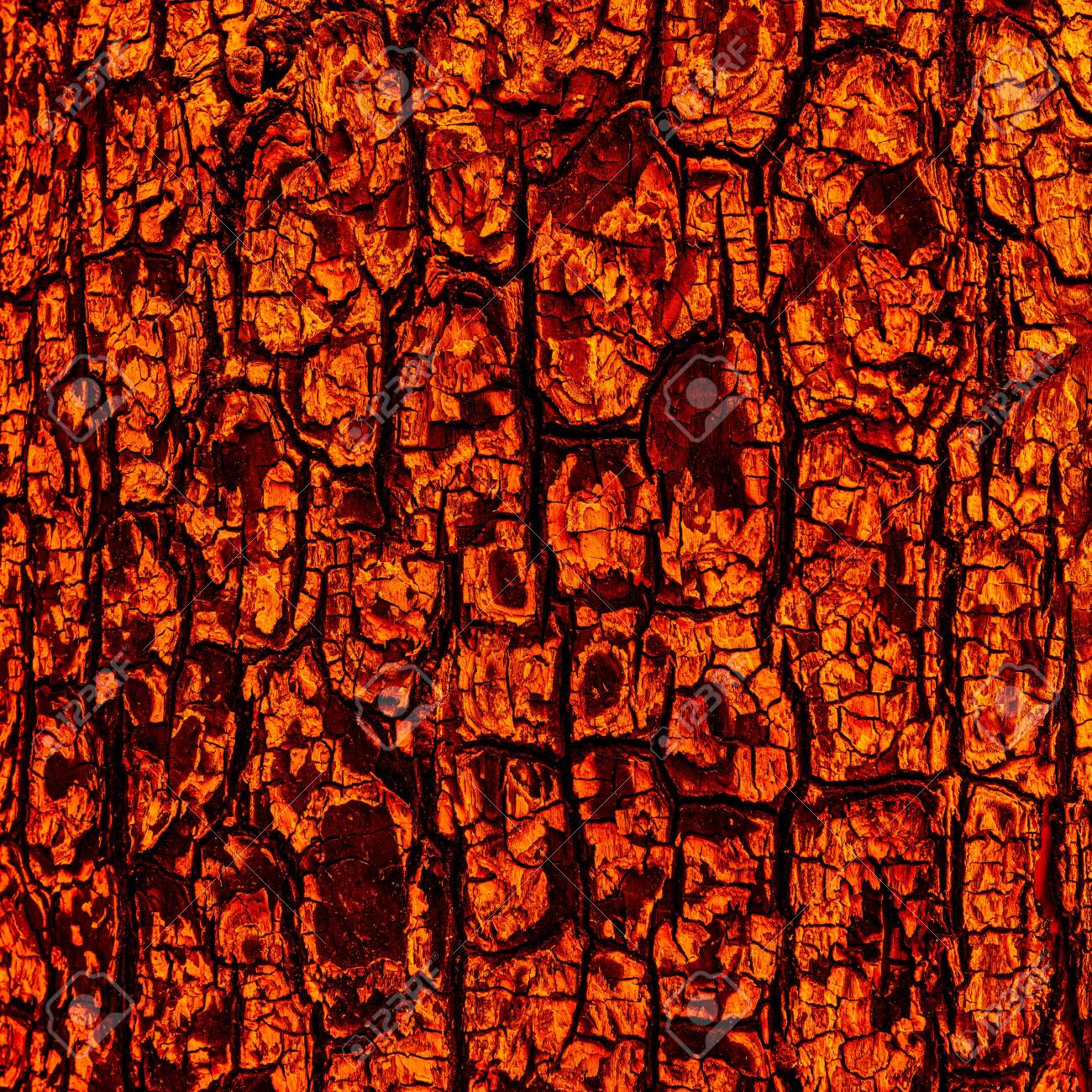 burn texture