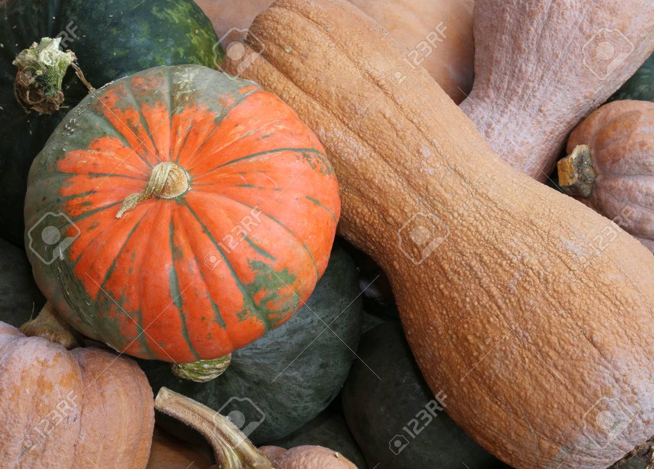 Gourds die before mature Married woman blowjob