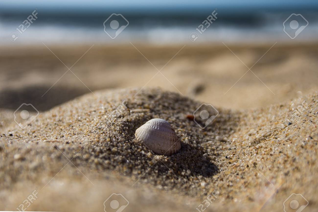 Treasure in the Sand