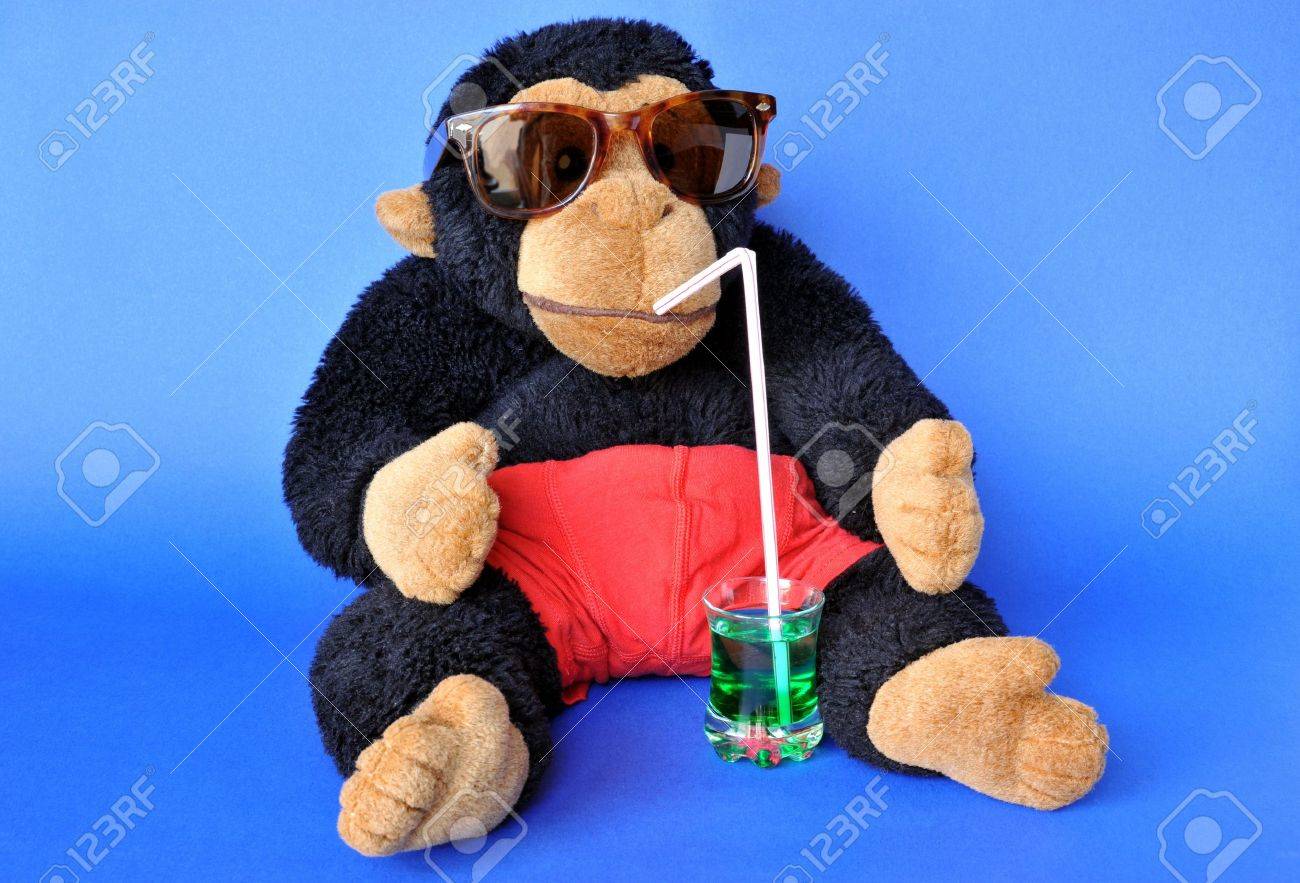 monkey with sunglasses