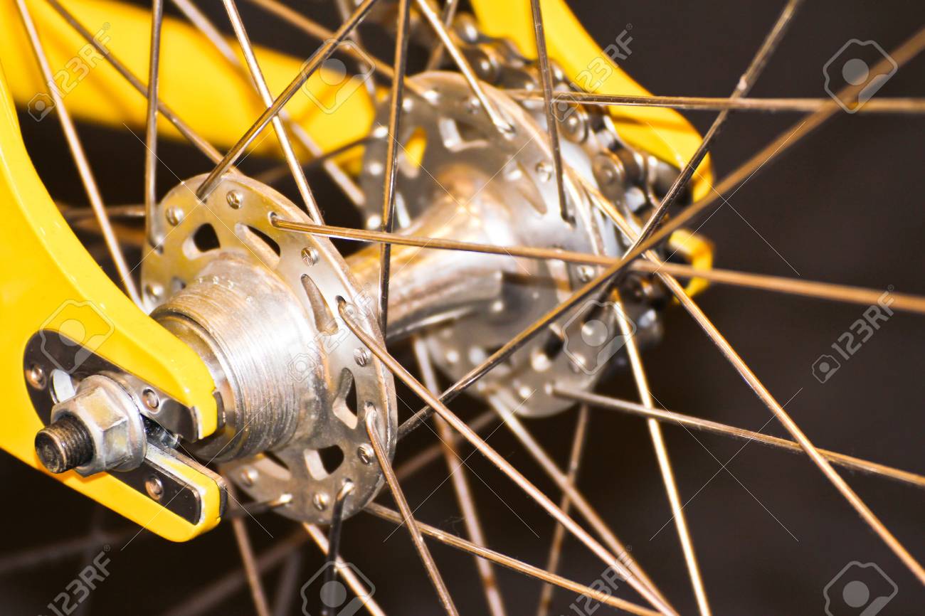 etiam-dictum-ipsum-a-felis