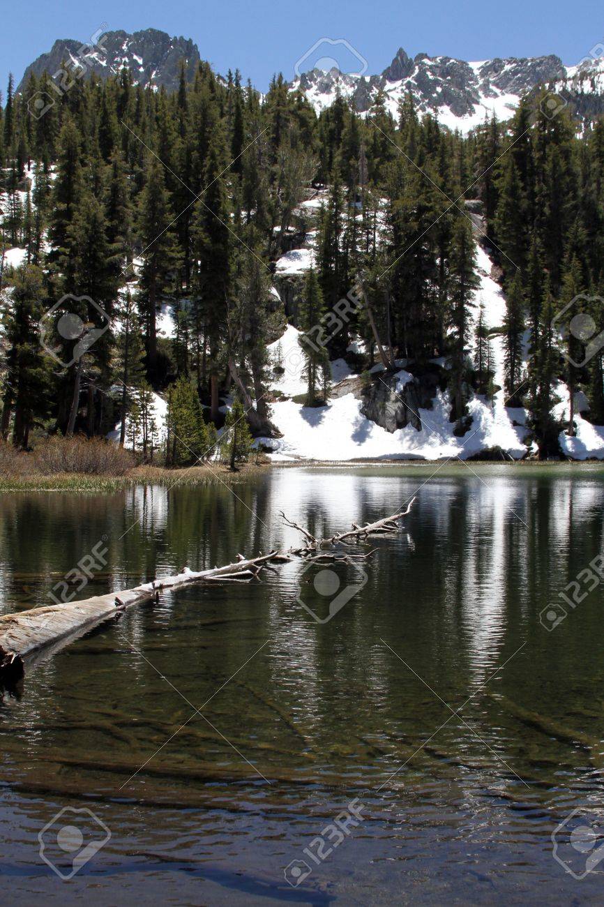 emerald lake with tree floating snow capped mountains mammoth
