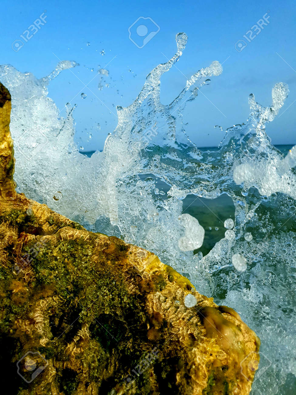 etiam-dictum-ipsum-a-felis